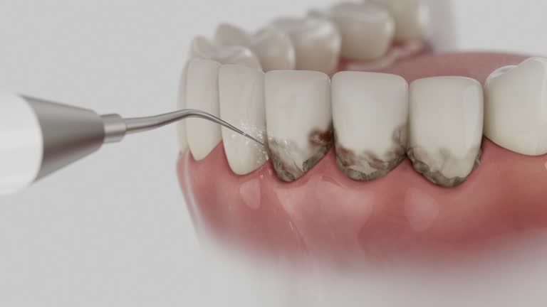 Reliable Dental contractor in Bottineau County County, ND by Dentist Open Now